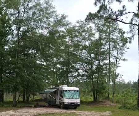Tuskegee NF Tent Site #6