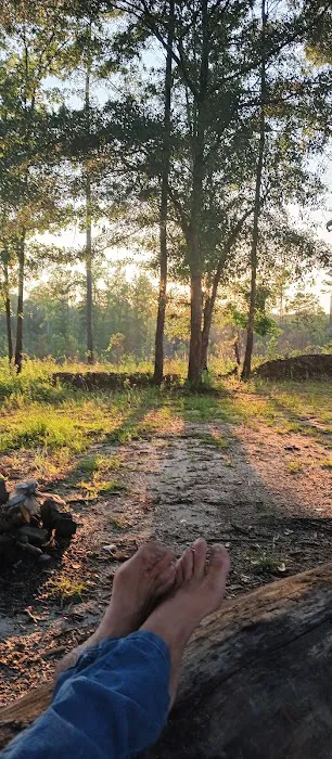 Tuskegee NF Tent Site #6 4