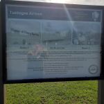 Tuskegee National Forest Campsite #8