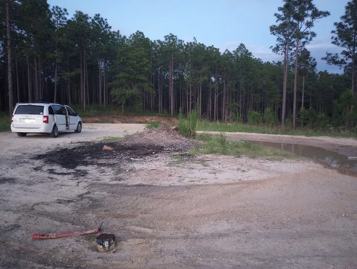Tuskegee National Forest Campsite #8 3