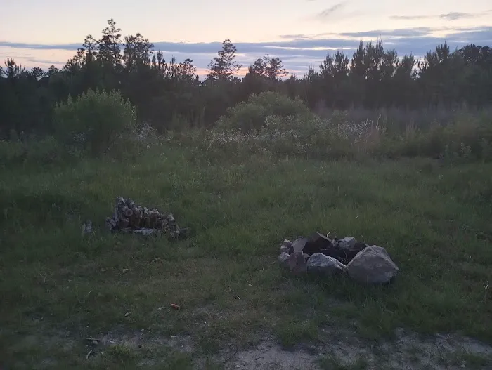 Tuskegee National Forest Campsite #8 9