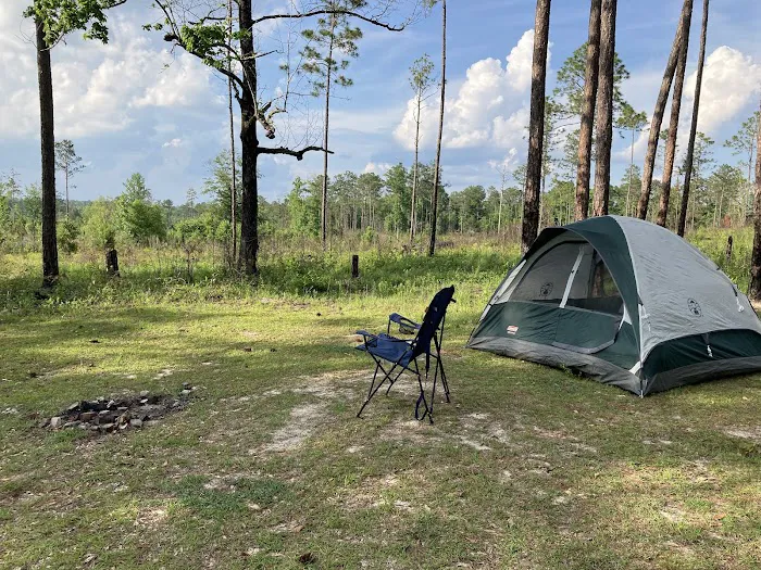 Tuskegee National Forest Campsite #8 8