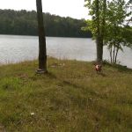 Creekside Mobile Home Park