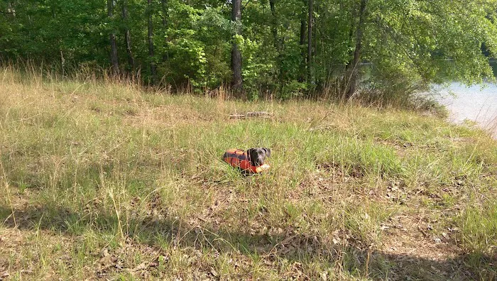 Creekside Mobile Home Park 6