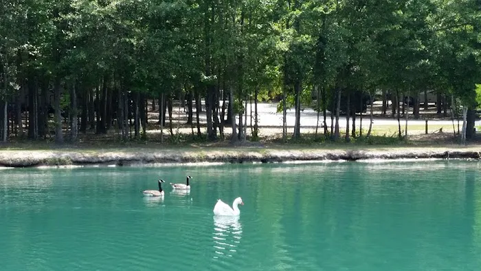 Albany RV Resort Inc 7