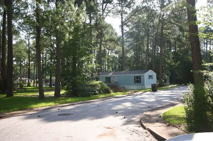 Paradise Village of Albany 2