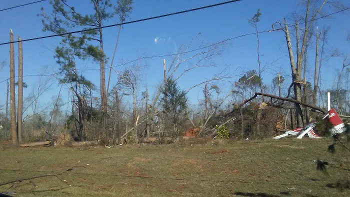 Paradise Village of Albany 9