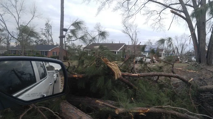 Paradise Village of Albany 8
