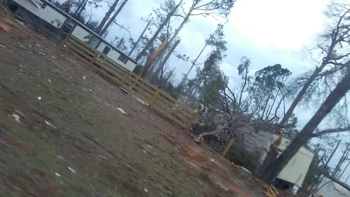 Paradise Village of Albany 10