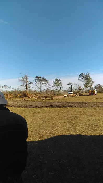 Albany Dunes 6