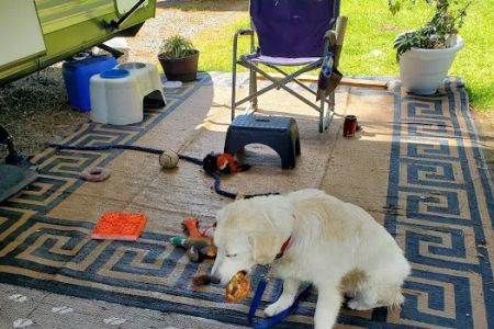 MCLB Albany RV Park