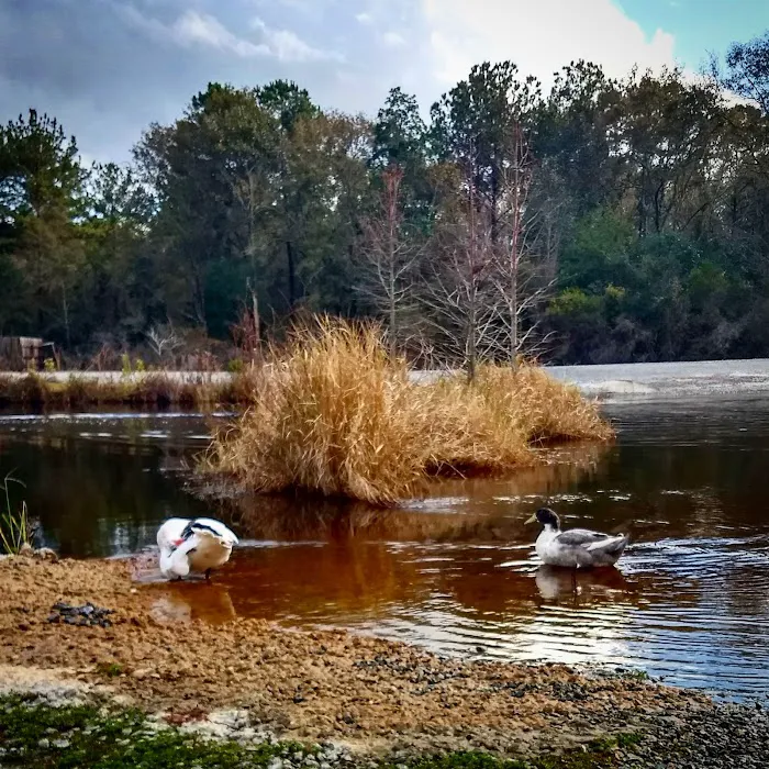 Cain's Creekside RV Park 7