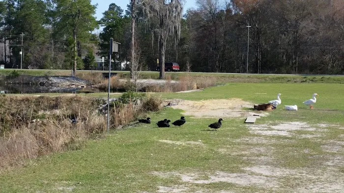 Cain's Creekside RV Park 9
