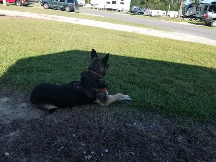 Valdosta Oaks Rv Park 3
