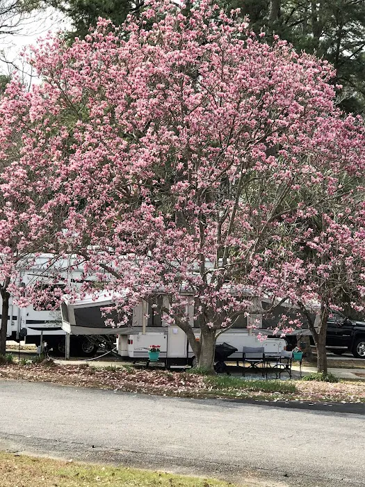 River RV Park 9
