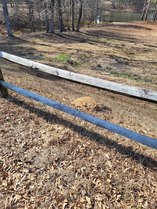 Conway Acres 10