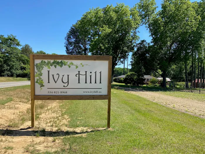 Ivy Hill 3