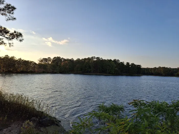 Wind Creek State Park Equestrian Campground 4