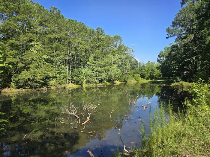 Lake Martin RV Park 2