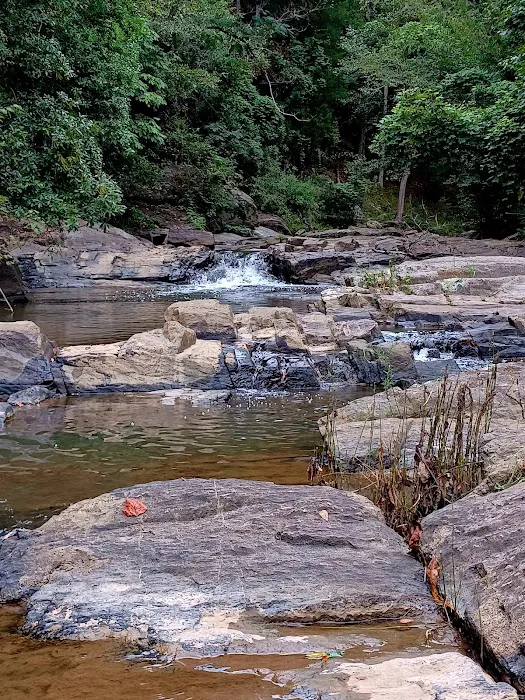 Chewacla State Park Campground 8