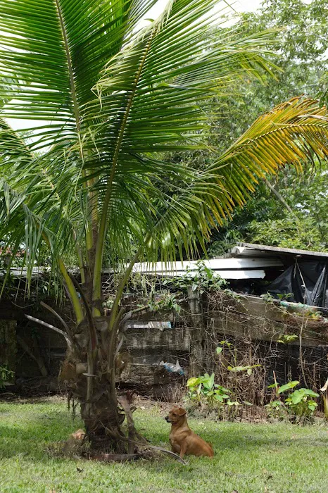 Weslo Estates 2