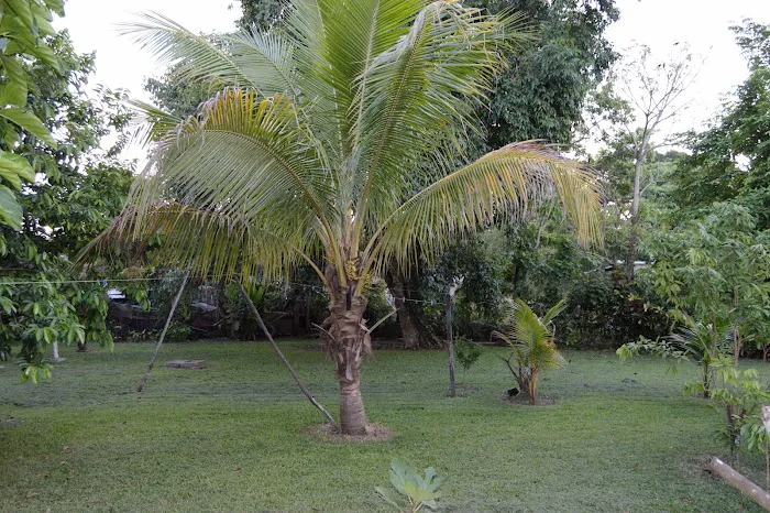 Weslo Estates 4