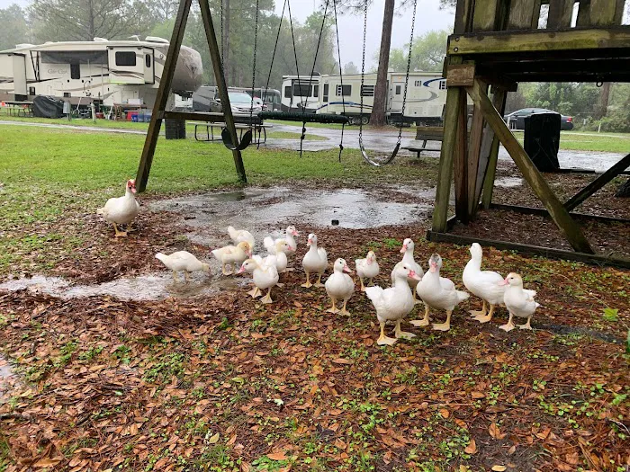 Lake Park RV & Campground 5