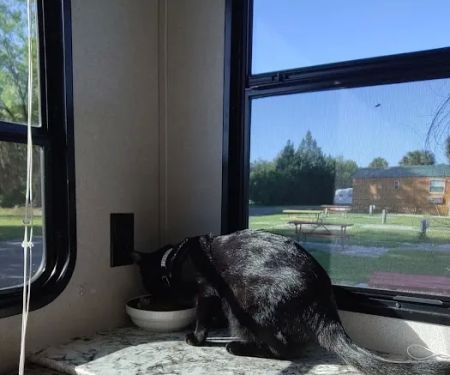 Jennings KOA Holiday