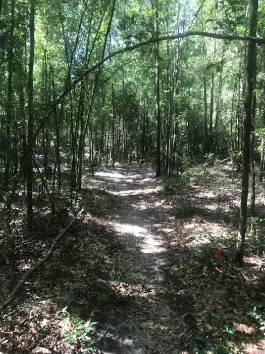3G-Camping Retreat 9