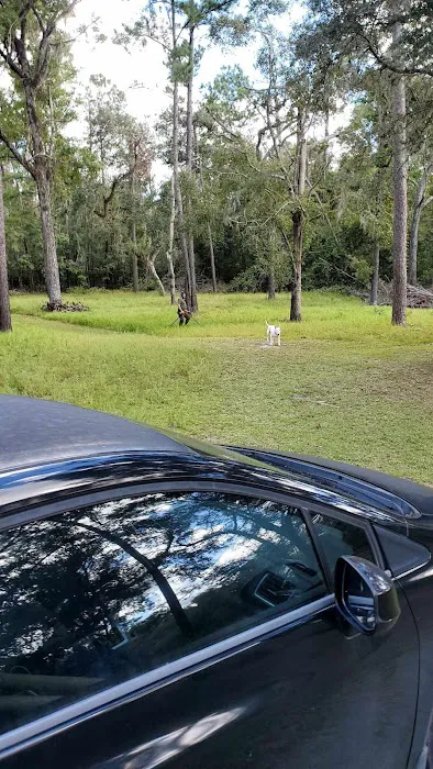 Coopers Bluff Campsite 3