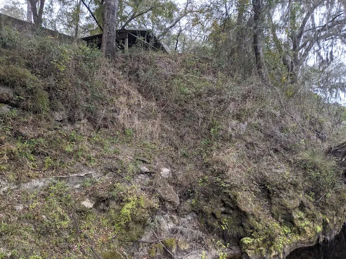 Coopers Bluff Campsite 5