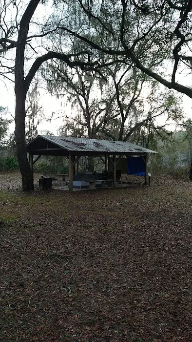 Coopers Bluff Campsite 8