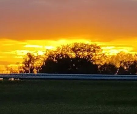 Ellaville RV Park