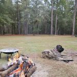 Bird Sanctuary Suwannee Music Park