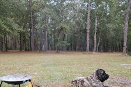 Bird Sanctuary Suwannee Music Park