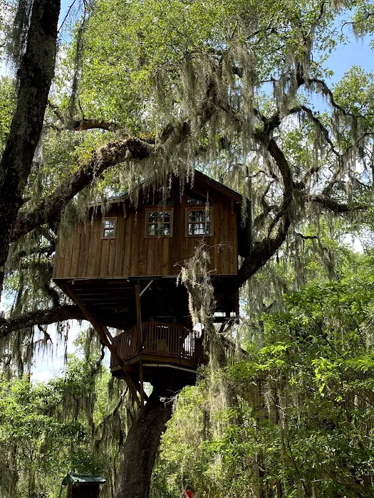 Spirit of the Suwannee Music Park & Campground 4