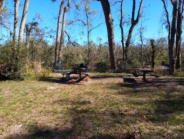 Black Tract Campsite 2