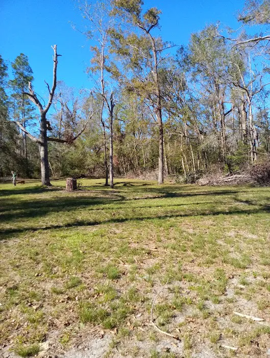 Black Tract Campsite 1