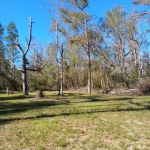 Black Tract Campsite