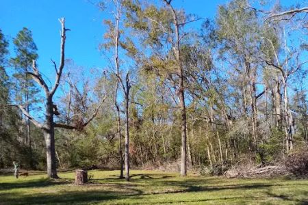 Black Tract Campsite