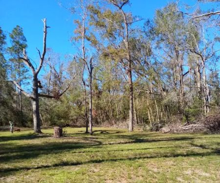Black Tract Campsite
