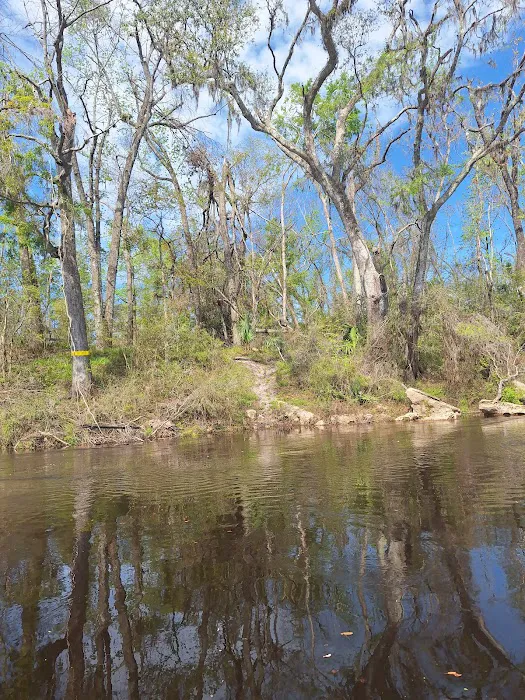 Black Tract Campsite 3