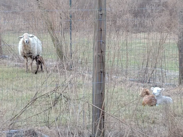 Home Field Advantage Farmstead 7