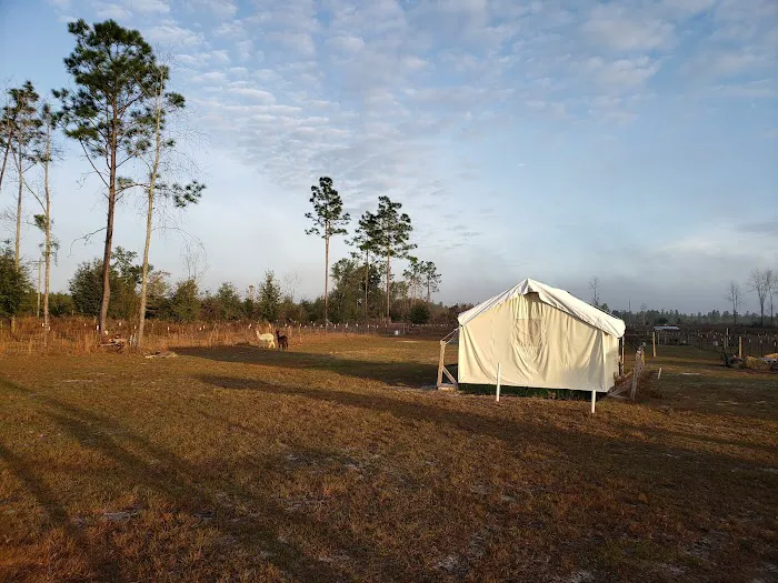 Home Field Advantage Farmstead 5