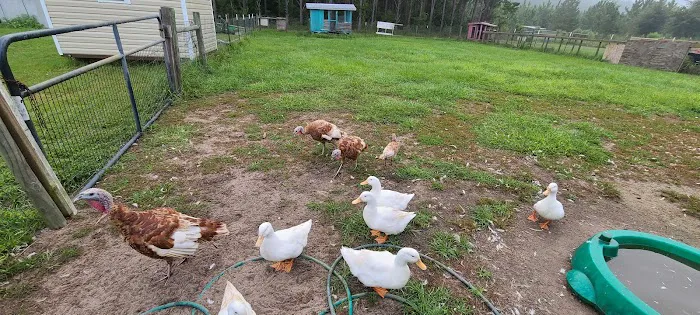 Home Field Advantage Farmstead 9