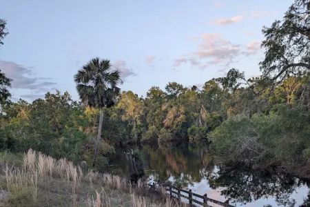 Mill Creek North Campsite