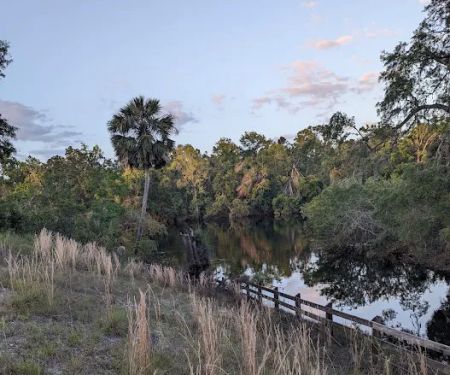 Mill Creek North Campsite