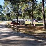 Pine Field Campsites