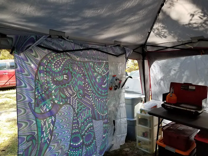 Pine Field Campsites 6