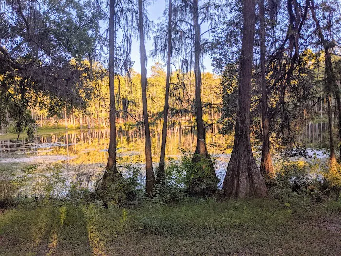 Pine Field Campsites 7